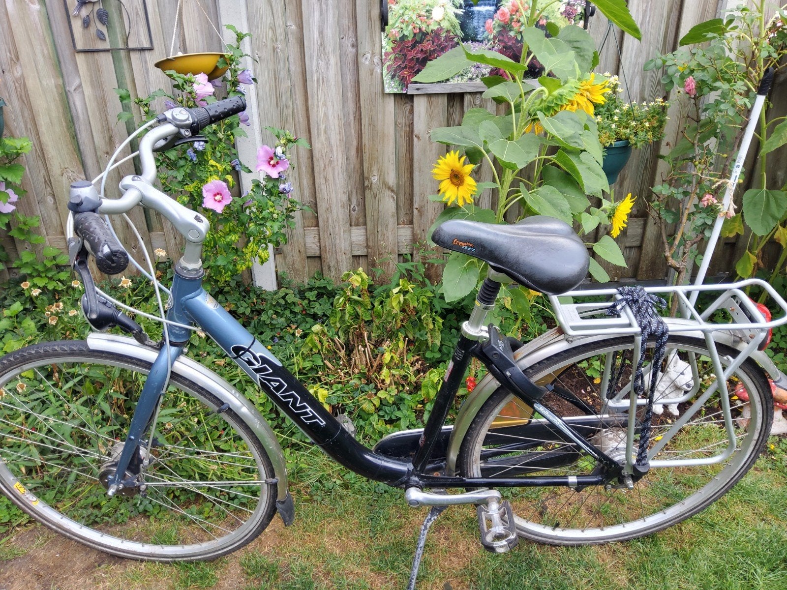 Dames fiets giant 7 versnellingen, 53 tot 56 cm, Versnellingen, Zo goed als nieuw, 0 zitjes