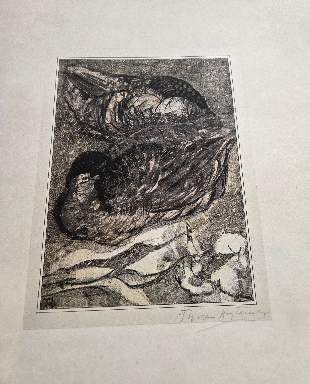 Hoytema handgesigneerde ets chine cole, Antiek en Kunst, Ophalen of Verzenden