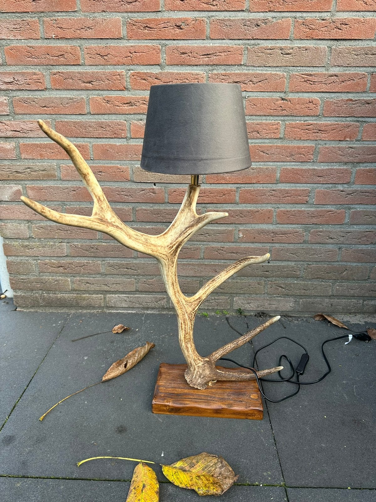 Geweilamp.schemerlamp.geweien.edelhert.damhert.tafellamp., Ophalen, Nieuw
