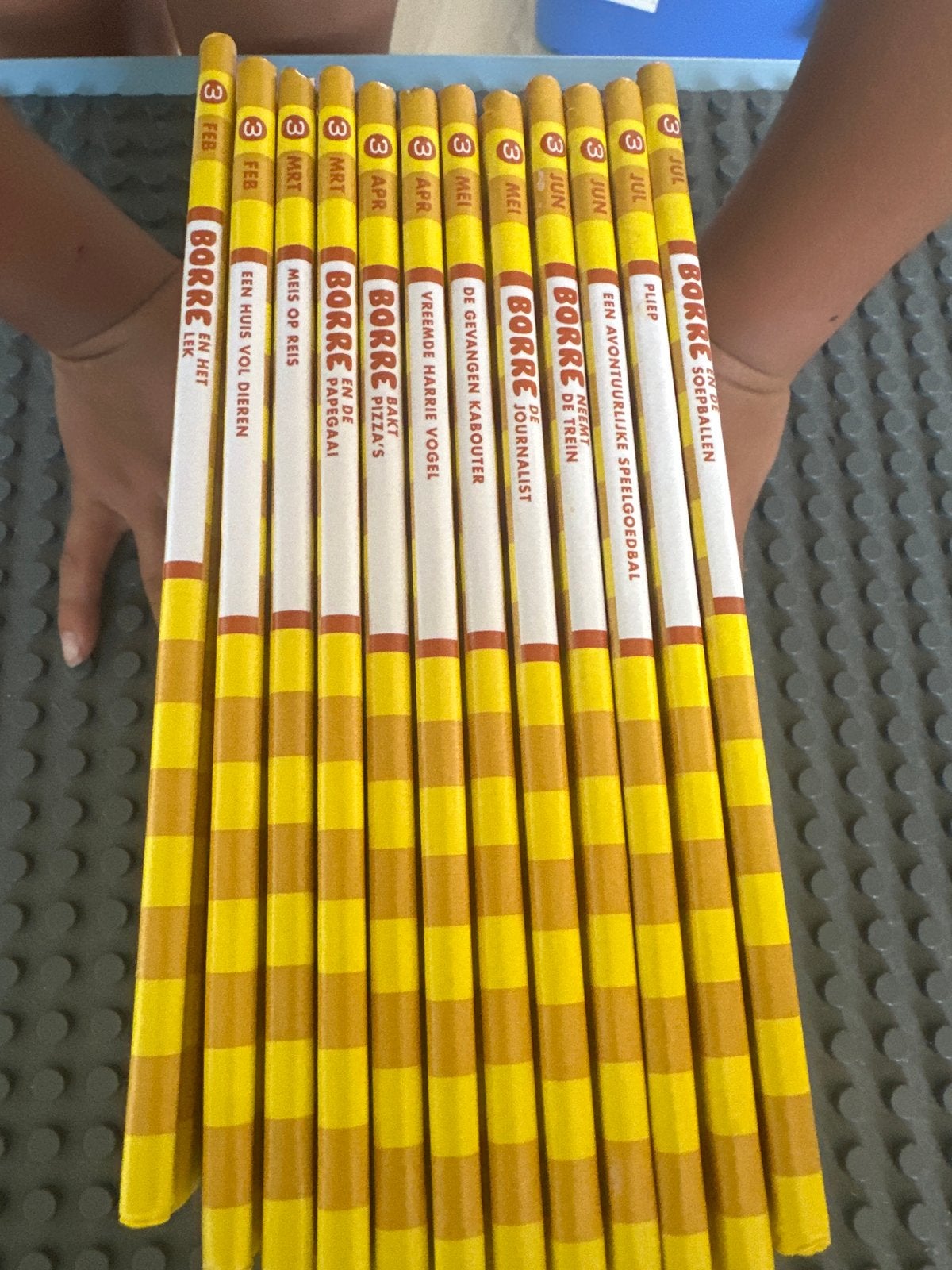 12 Borre boeken - Groep 3 - Zo goed als nieuw, Boeken, Ophalen of Verzenden, Zo goed als nieuw, Fictie algemeen