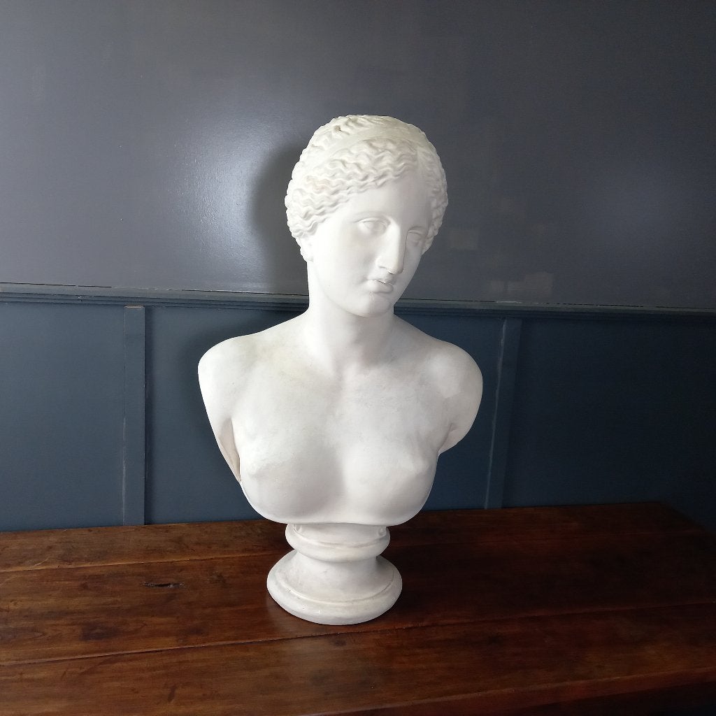 Grote vintage buste van Venus van Milo, Ophalen of Verzenden, Gebruikt