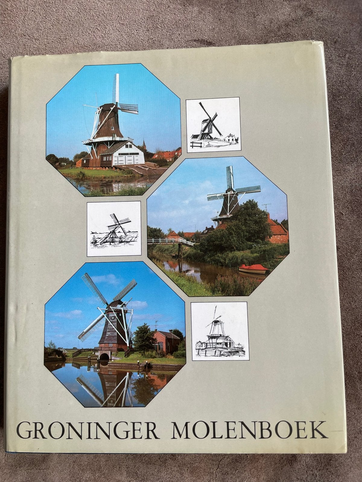 Groninger Molenboek, Boeken, Ophalen of Verzenden, 20e eeuw of later, Gelezen