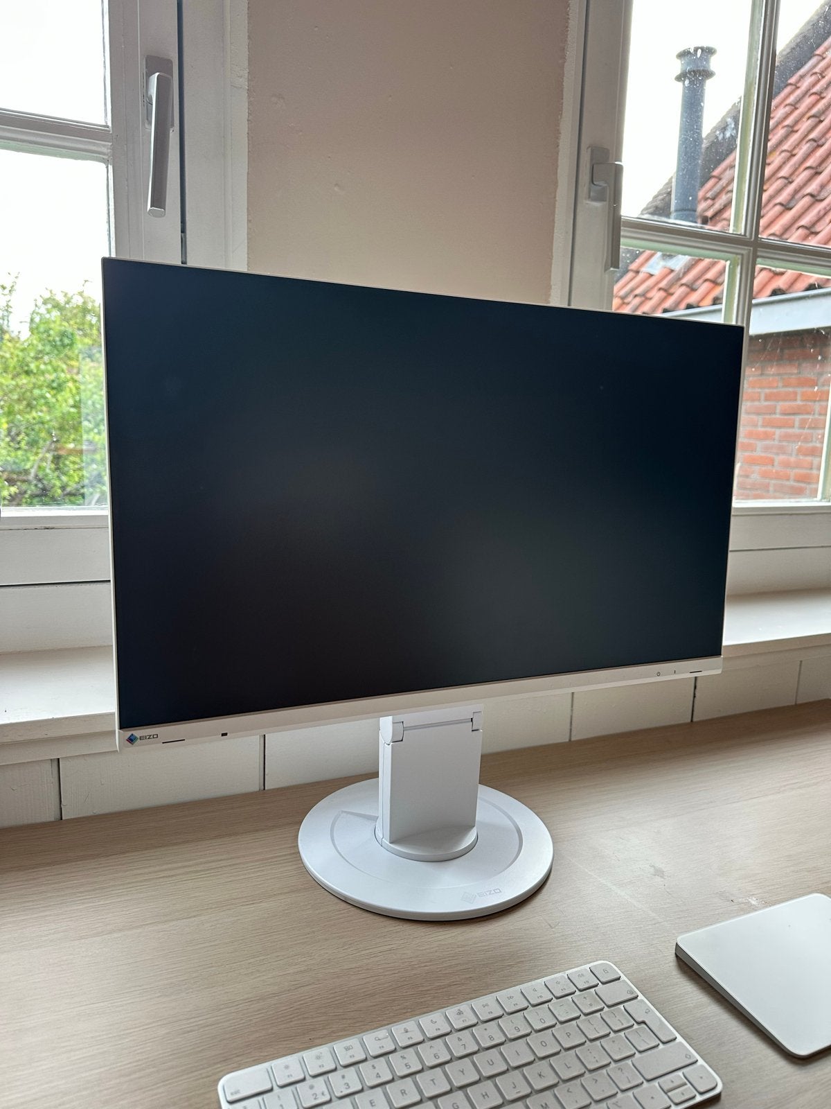 EIZO FlexScan EV2460 Computerscherm - 24 inch, Computers en Software, Monitoren, Zo goed als nieuw, 60 Hz of minder, DisplayPort