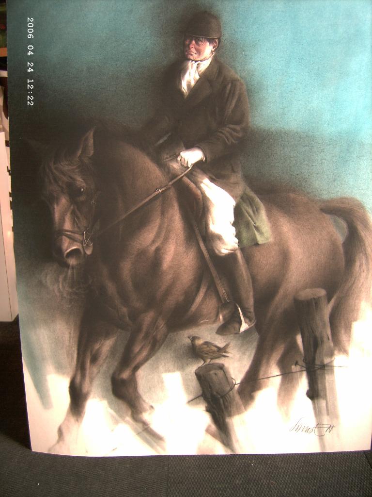 Paard, sport, ruiter, Antiek en Kunst, Kunst | Schilderijen | Modern, Ophalen