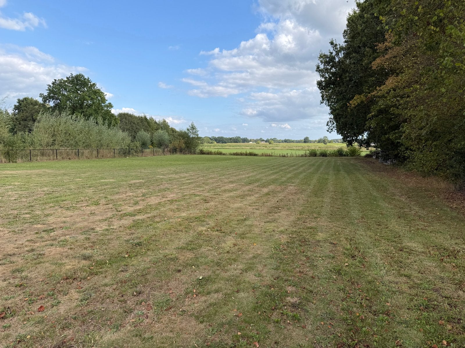 Weide te huur, Dieren en Toebehoren, Weidegang