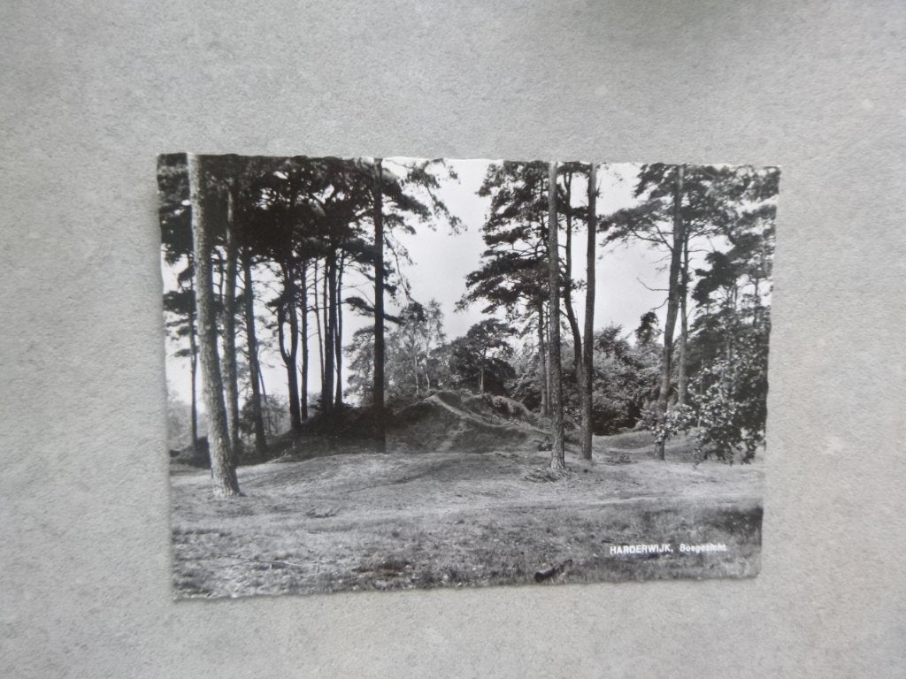Harderwijk, bosgezicht 1966, Verzenden, 1960 tot 1980, Ongelopen, Gelderland