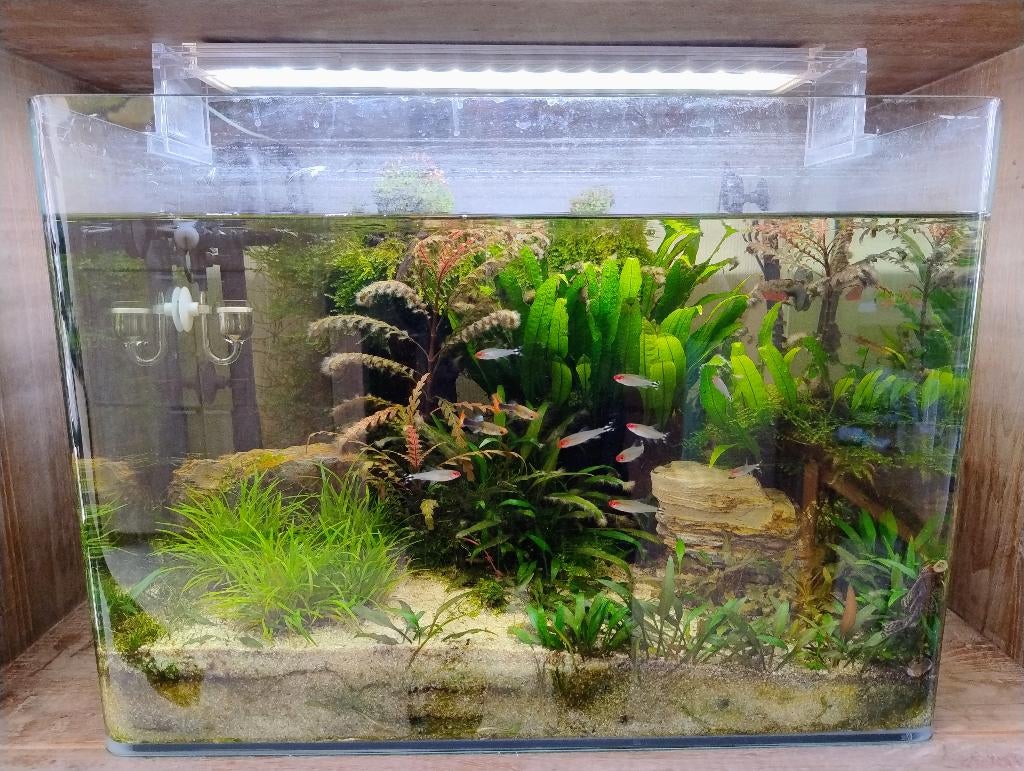 Aquarium te koop 70 liter compleet met CO2 set, Ophalen, Gebruikt, Inclusief slangen, Dennerle