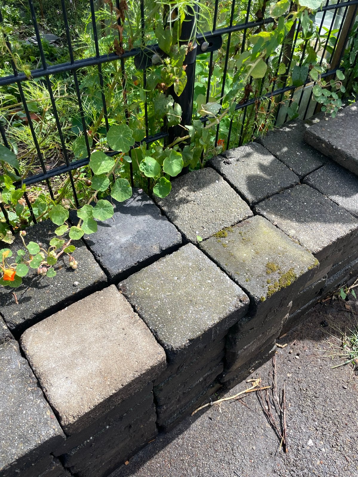 Gebruikte betontegels 20x20 cm, Ophalen, Gebruikt, 10 m² of meer, Beton