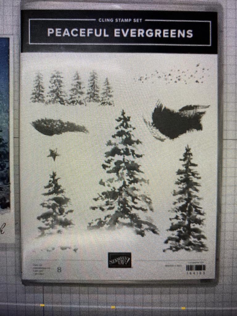 Gezocht: Stampin Up Peaceful Evergreens stempelset, Ophalen of Verzenden, Zo goed als nieuw, Clearstamp