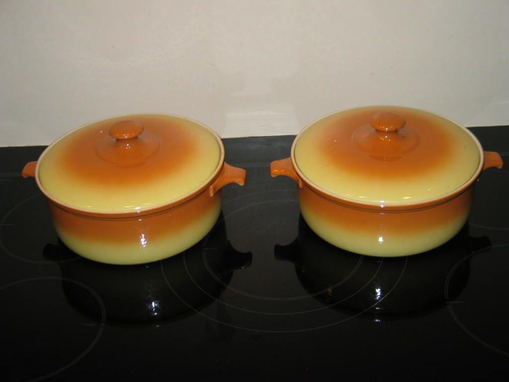 2 stuks parafeu petrus regout ovenschalen met deksel oranje, Ophalen, Gebruikt, Keramiek, Schaal of Schalen