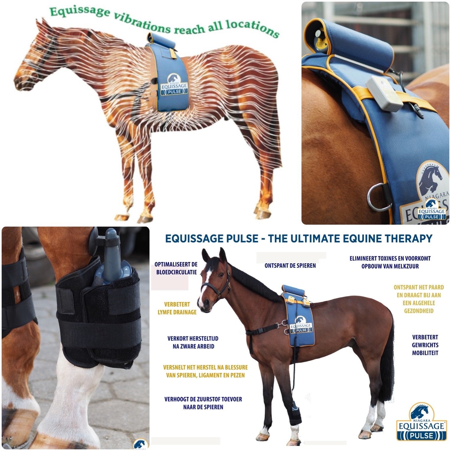 Niagara Equissage complete set met 2 handunits, Ophalen, Zo goed als nieuw