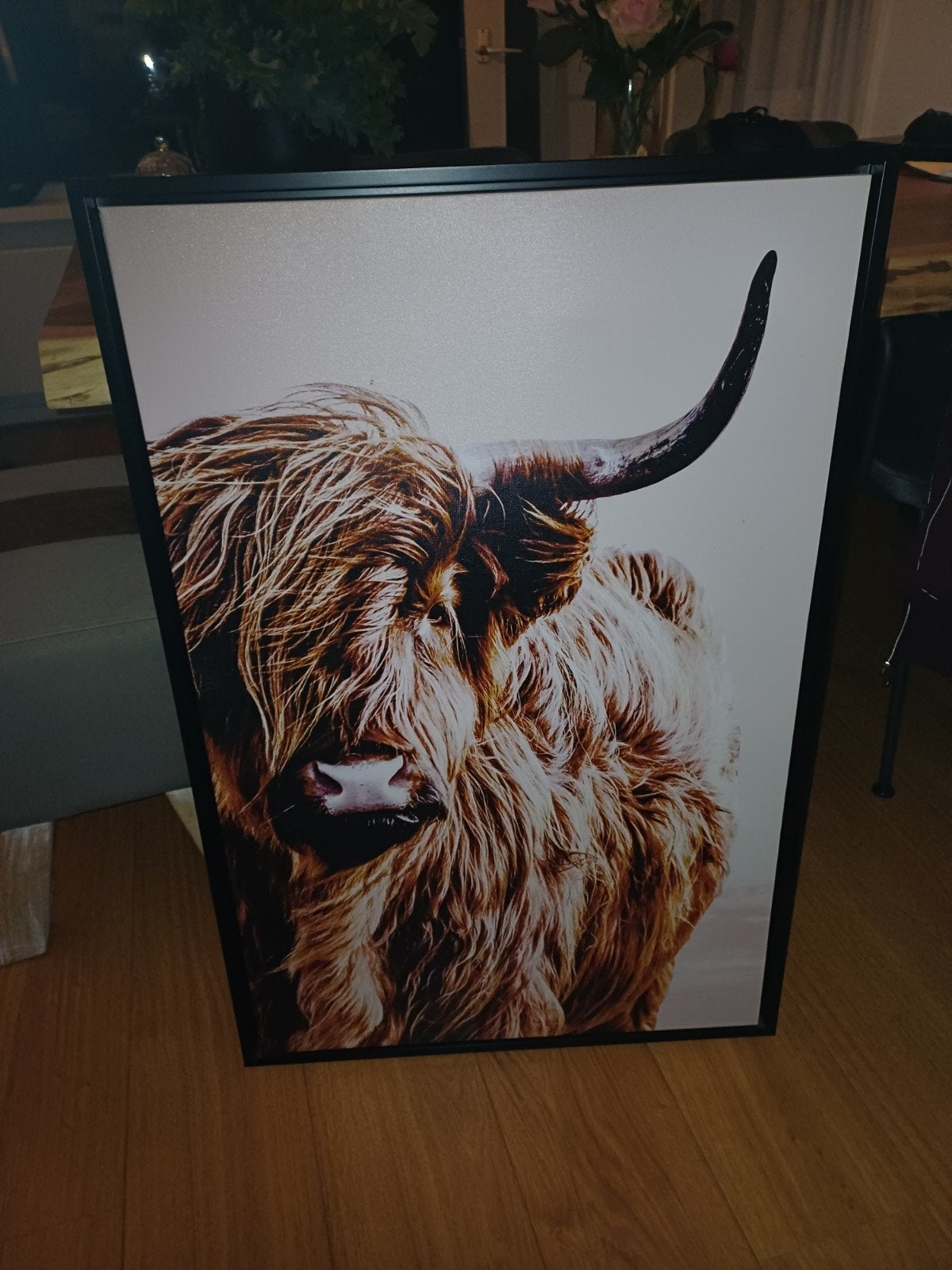 schotse hooglander in baklijst, Ophalen of Verzenden, Schilderij