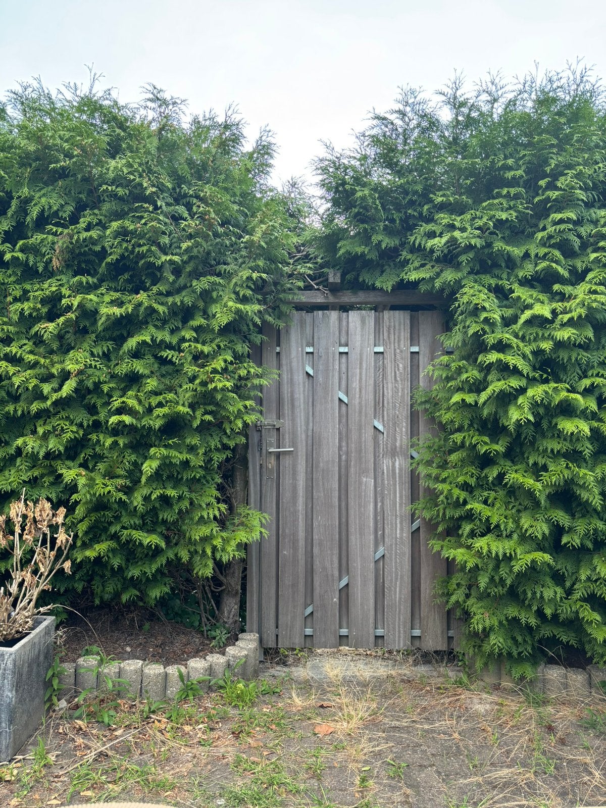 Poort, Tuin en Terras, Ophalen, Minder dan 3 meter, Hout, 1 tot 2 meter