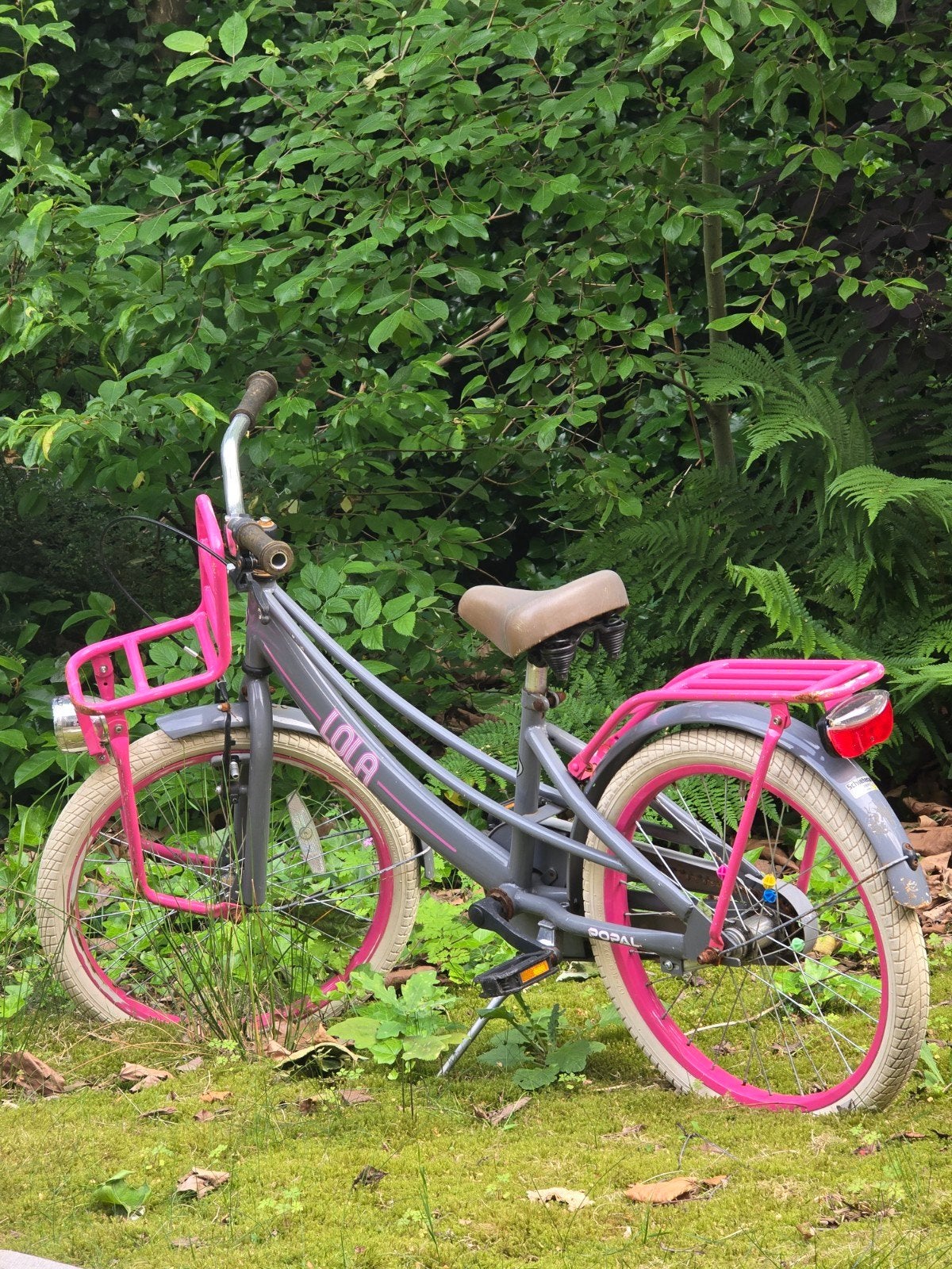 Lola kinderfiets - checkup nodig, banden leeg, Ophalen of Verzenden