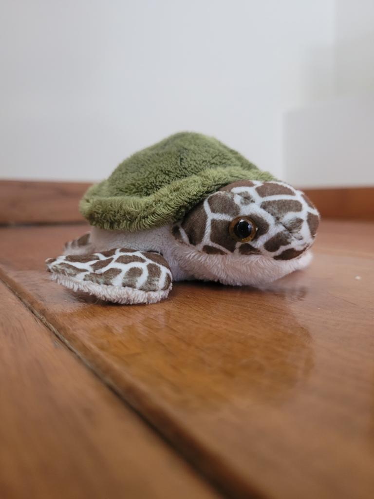 Kleine schattige schildpad knuffel, Ophalen, Groen, Overige typen, Zo goed als nieuw