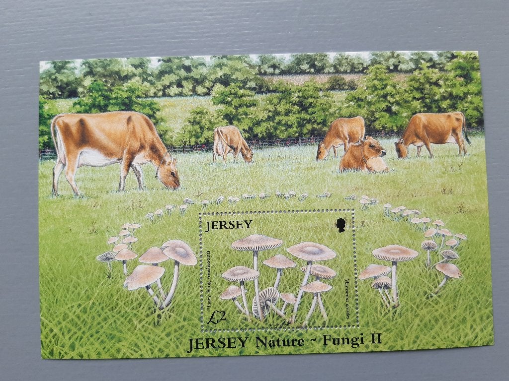 Jersey, postzegelvelletje paddenstoelen, 2005, € 1,00, Ophalen of Verzenden, Postfris, Dier of Natuur