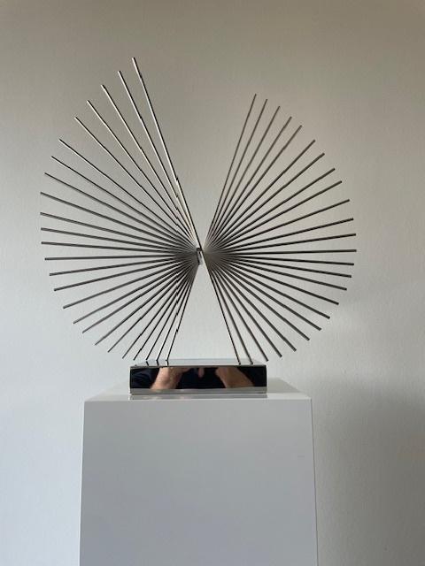 Futuristische draadsculptuur in chroom, Ophalen of Verzenden