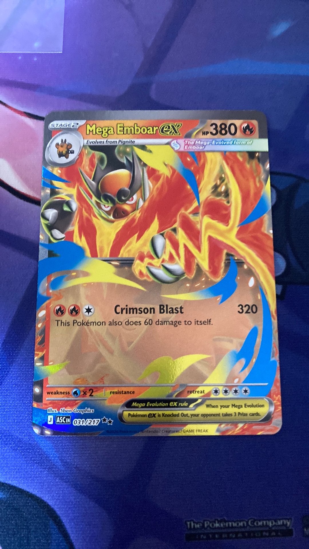 Mega emboar 031/217, Ophalen of Verzenden, Nieuw, Losse kaart
