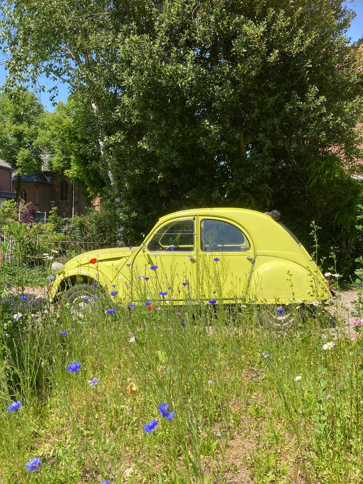 Oldtimers Citroën