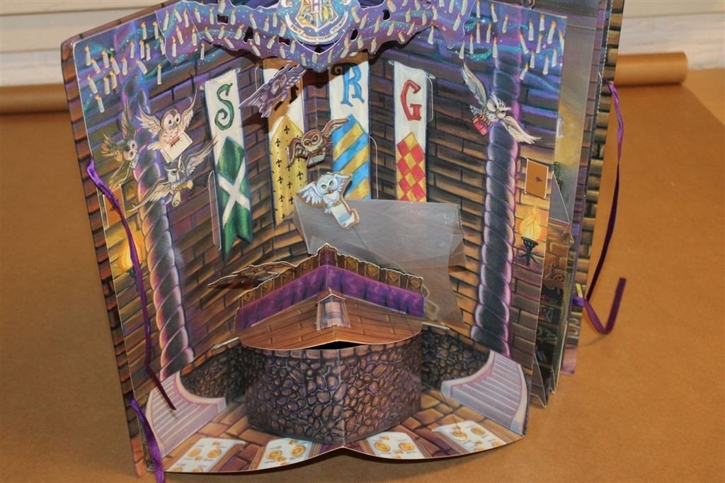Zweinsteins Hogeschool — Harry Potter Pop-up Boek 3D, Ophalen of Verzenden, Gelezen