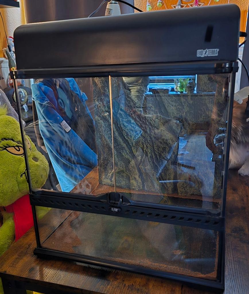 Nette Exoterra terrarium met achterwand en lichtpunten, Dieren en Toebehoren, Ophalen, Gebruikt, Terrarium of Paludarium