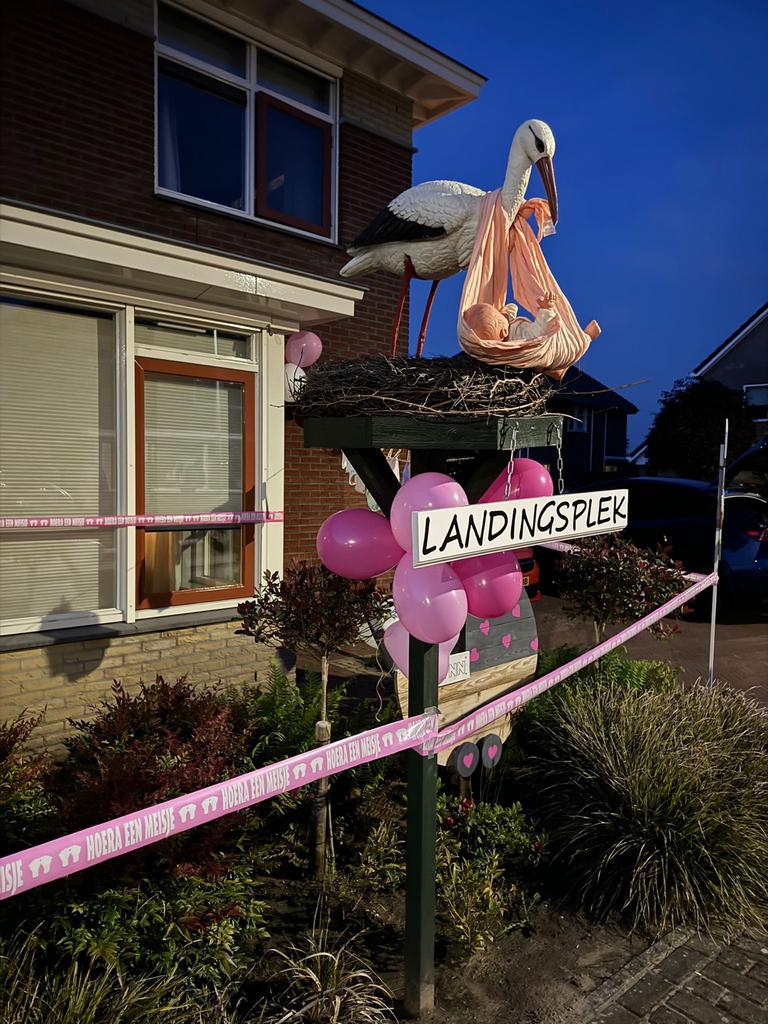 Ooievaarsnest te huur, Ophalen of Verzenden