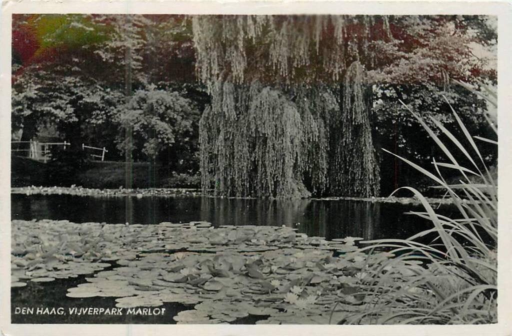 381-089-033 Den Haag Vijverpark Marlot, Verzenden, Voor 1920, Zuid-Holland