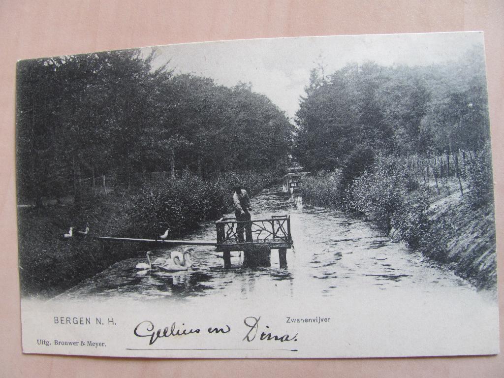 Bergen 1906 Zwanenvijver, Ophalen of Verzenden, Voor 1920, Noord-Holland