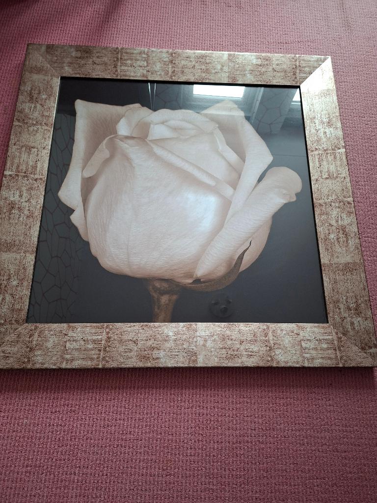 Tweeluik schilderij roos, Ophalen, Zo goed als nieuw, 75 tot 100 cm, Foto of Poster
