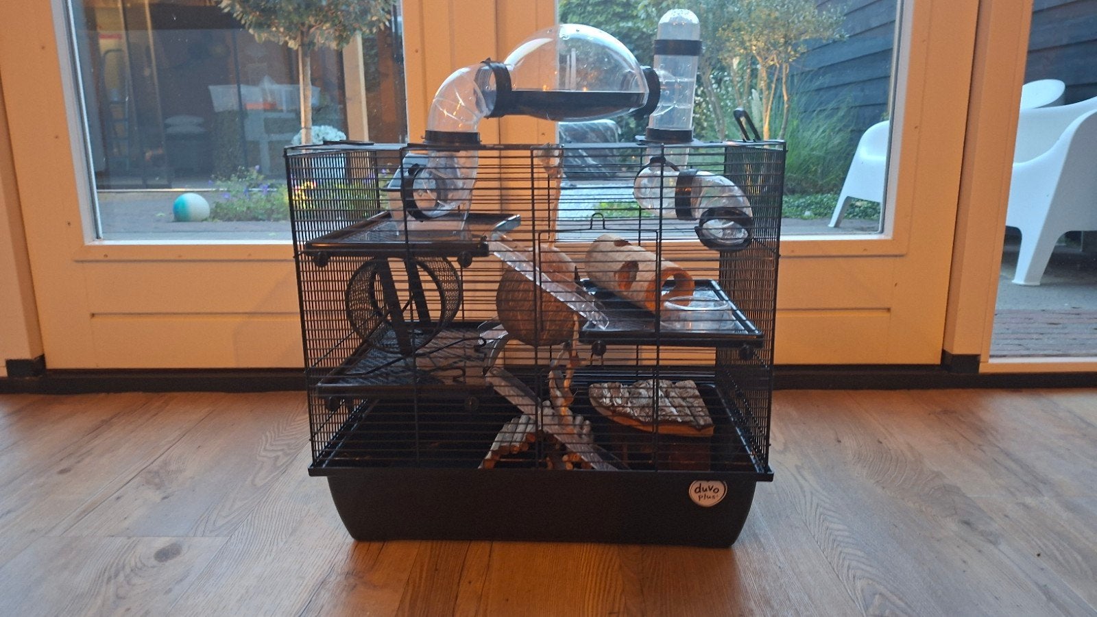zwarte dwerghamsterkooi met speeltjes, Kooi, Minder dan 75 cm, Zo goed als nieuw, Hamster
