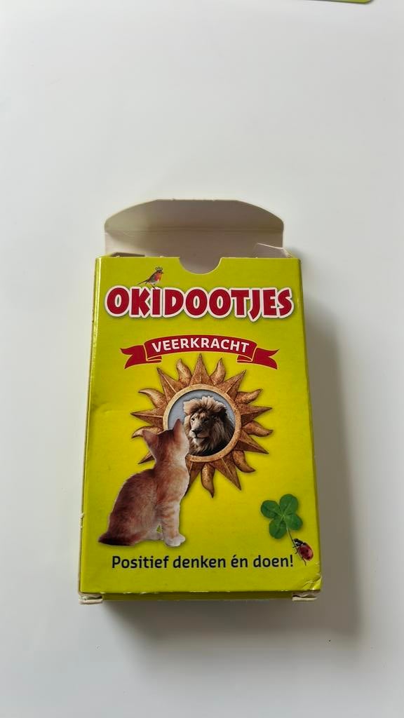 Okidootjes;leer veerkracht, positief denken en doen!Coaching, Ophalen of Verzenden, Gebruikt, Speelkaart(en)