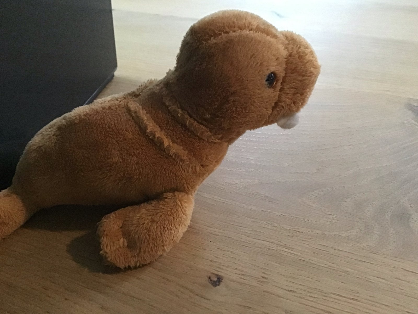 Schattige bruine walrus knuffel, Ophalen, Overige merken, Overige karakters, Overige typen