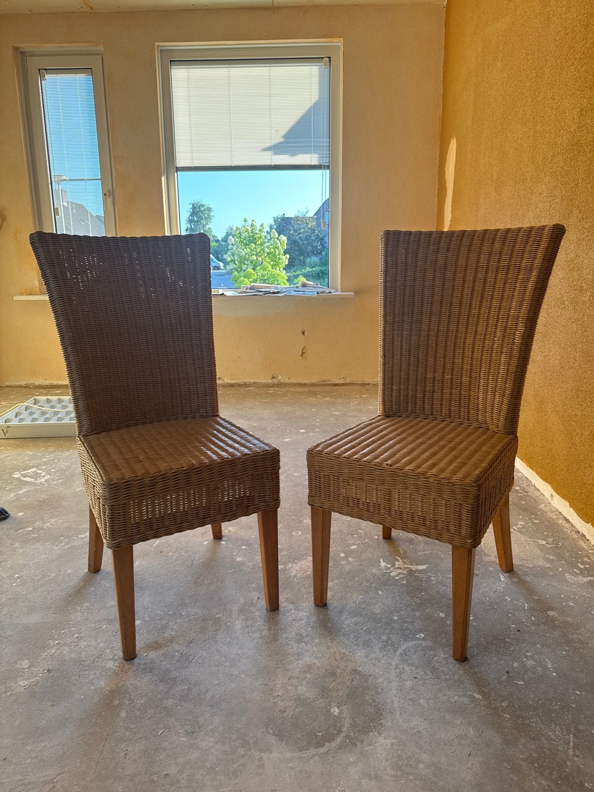 Set van 2 rotan eetkamerstoelen, Ophalen, Gebruikt, Twee, Bruin
