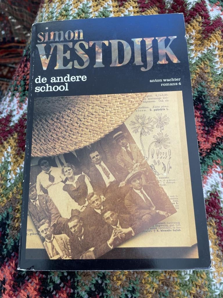Simon vestdijk de andere school, Boeken, Literatuur, Ophalen of Verzenden, Zo goed als nieuw