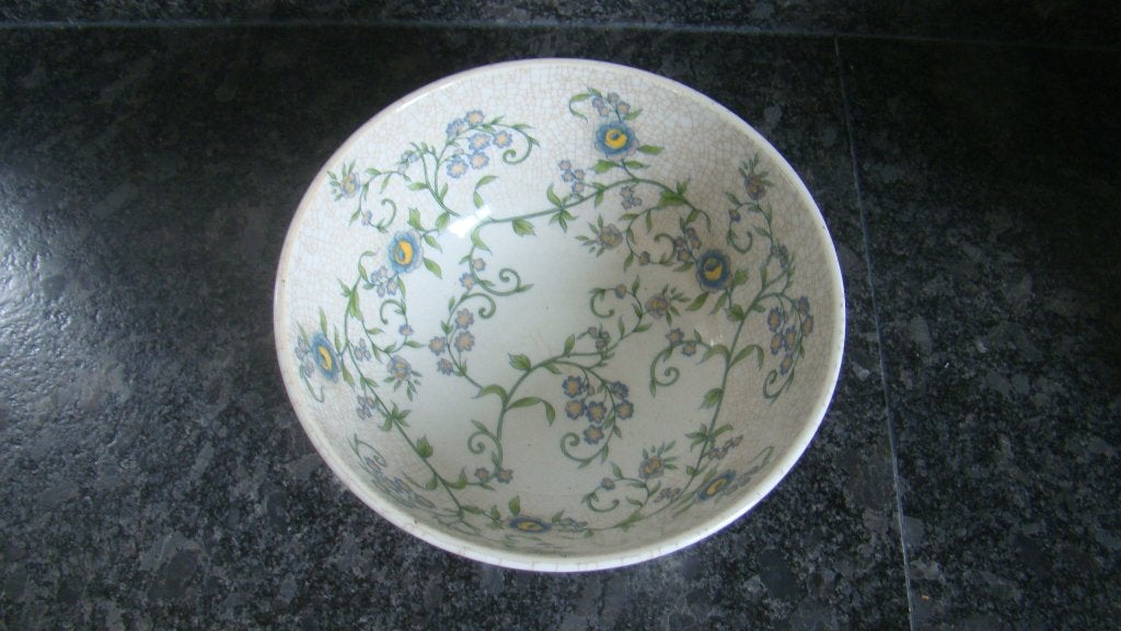 Nieuw groene schaal, Schaal, Rond, Nieuw, Ophalen of Verzenden