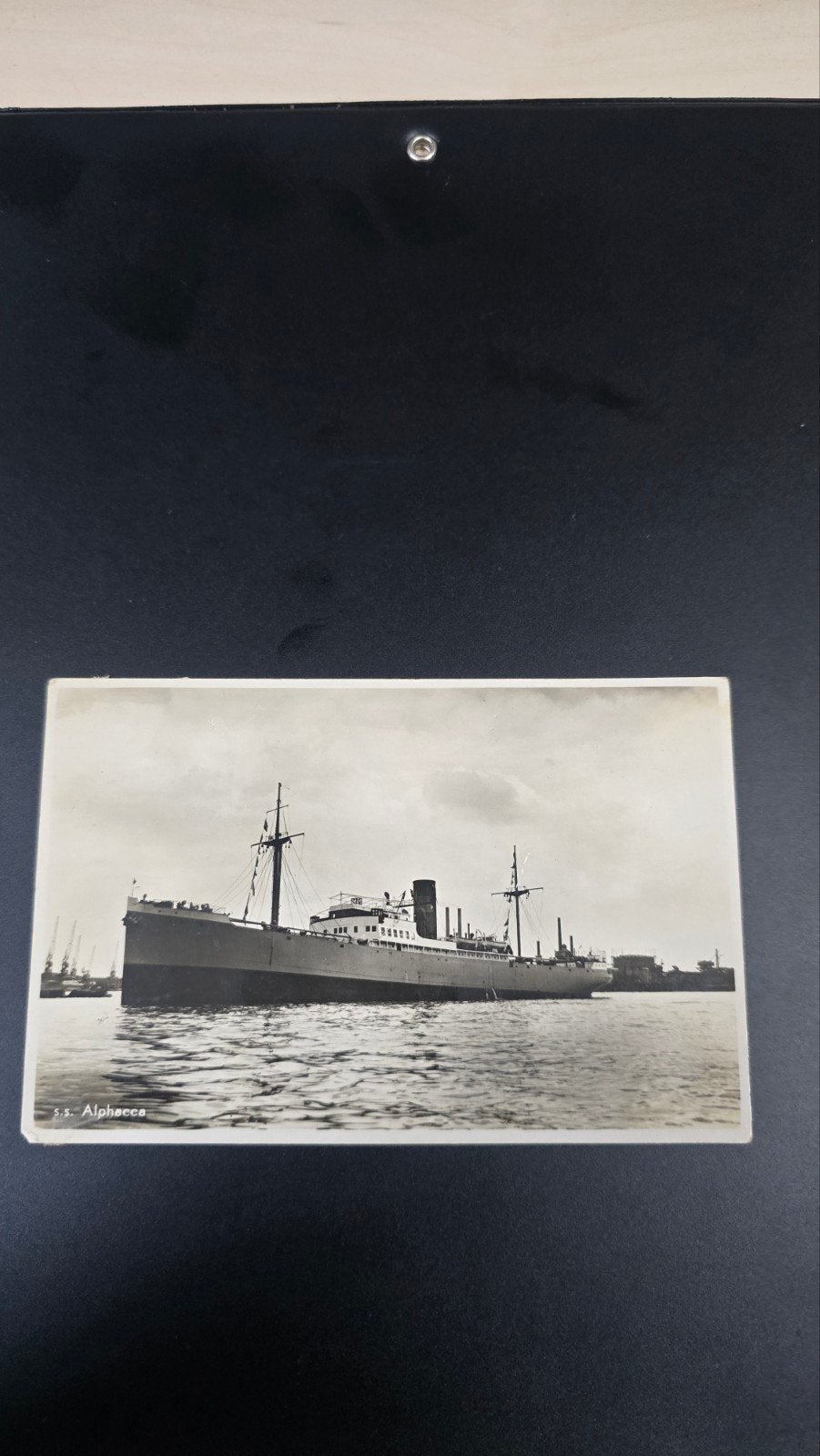 Oude ansichtkaart s.s. Alphacca Rotterdam Zuid Amerika Lijn, Ophalen of Verzenden