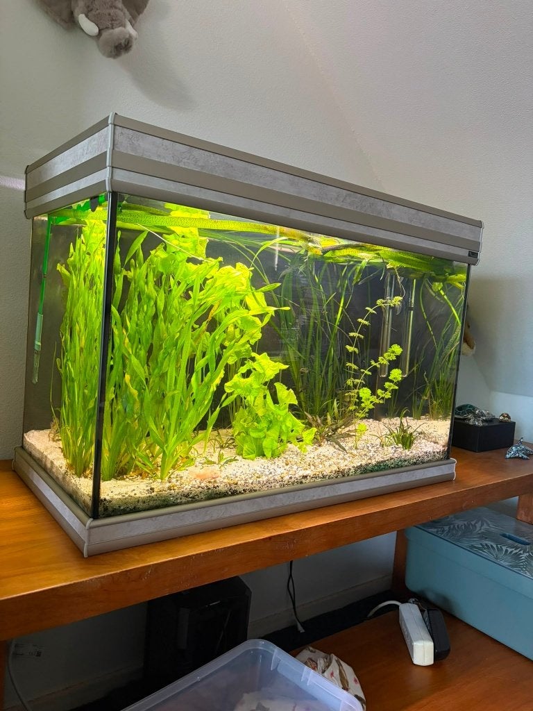 aquarium 135 liter, Ophalen, Zo goed als nieuw, Leeg aquarium, Aquatlantis