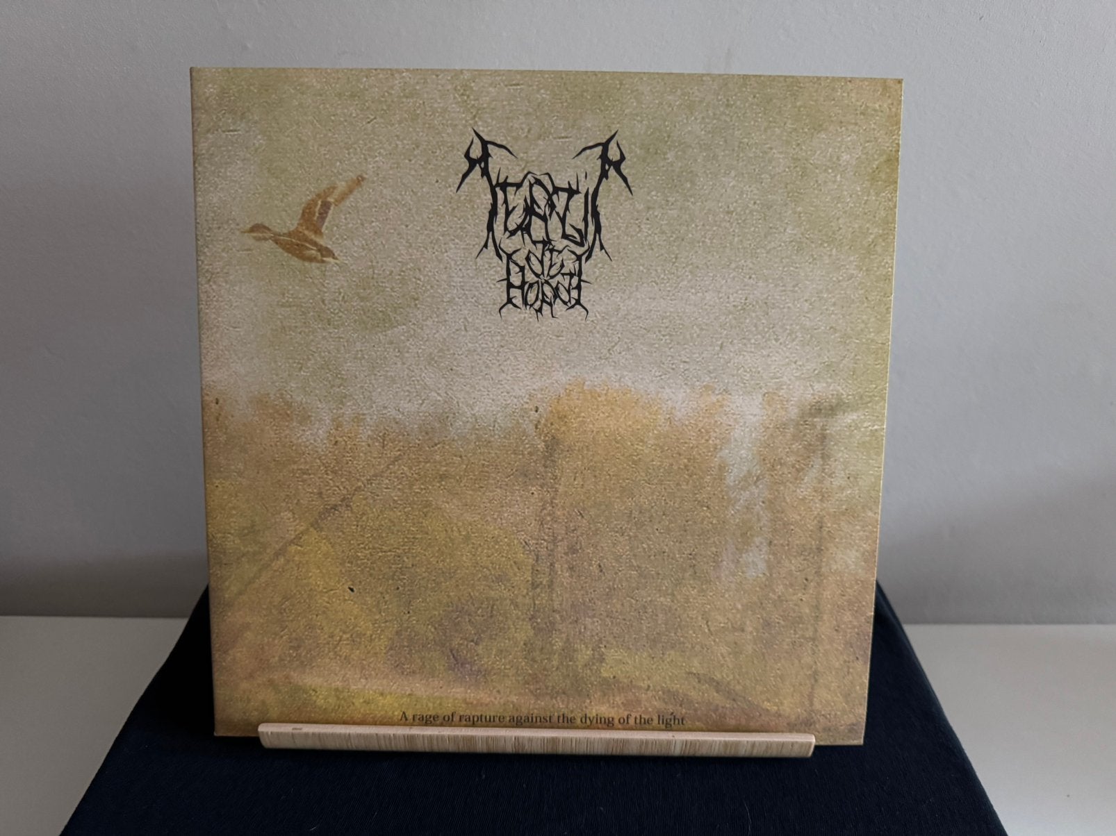 Terzij de Horde A Rage of Rapture Against the Dying Light, LP, Gebruikt, Ophalen of Verzenden, Black metal