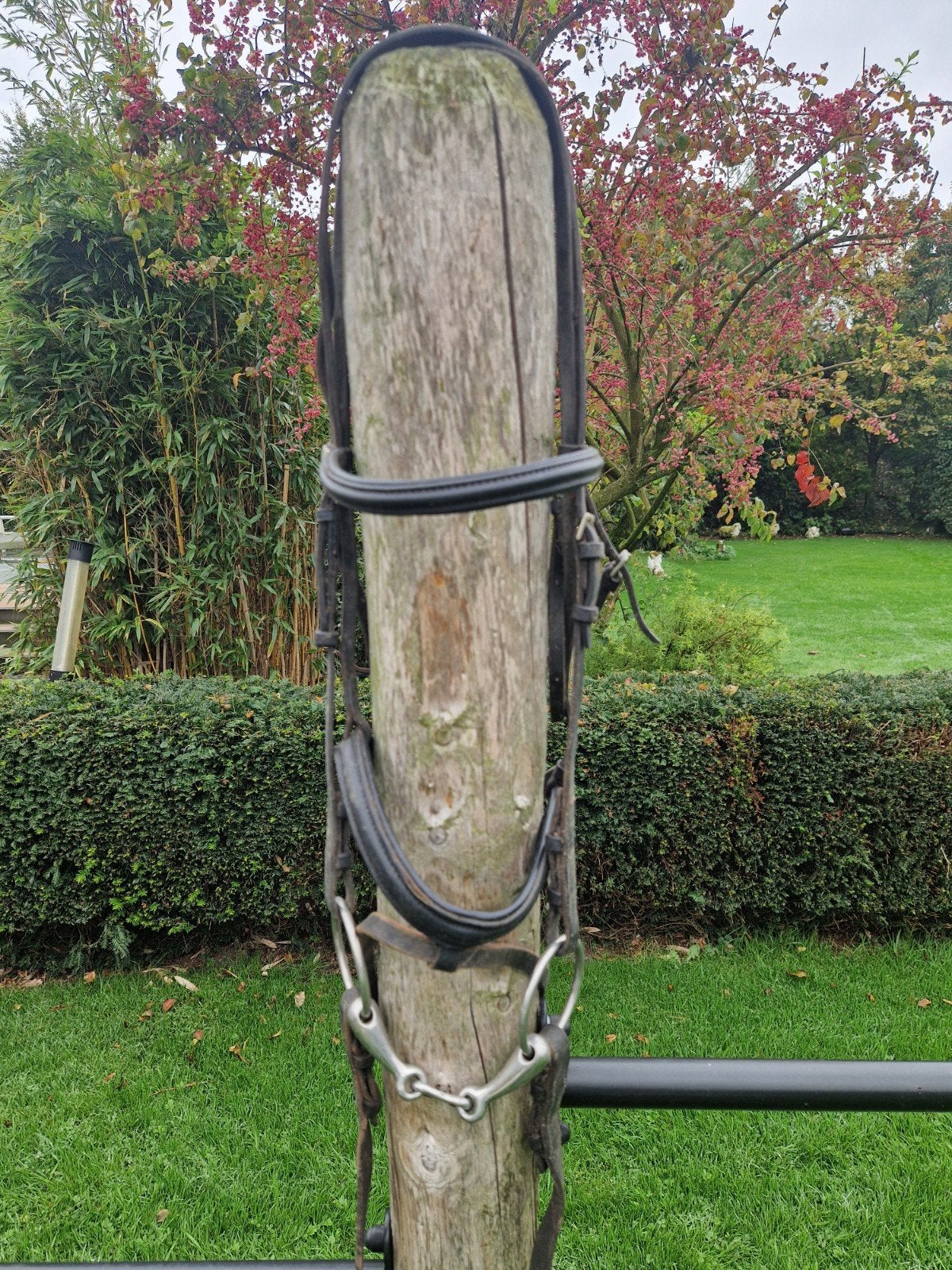 Hoofdstel • Paarden • met bit • evt nog een zadel te koop, Ophalen of Verzenden