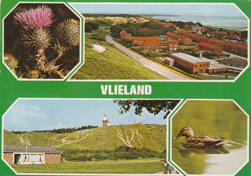 VLIELAND Vuurtoren Panorama Eend, Verzamelen, Ansichtkaarten | Nederland, Gelopen, Waddeneilanden, 1980 tot heden, Verzenden