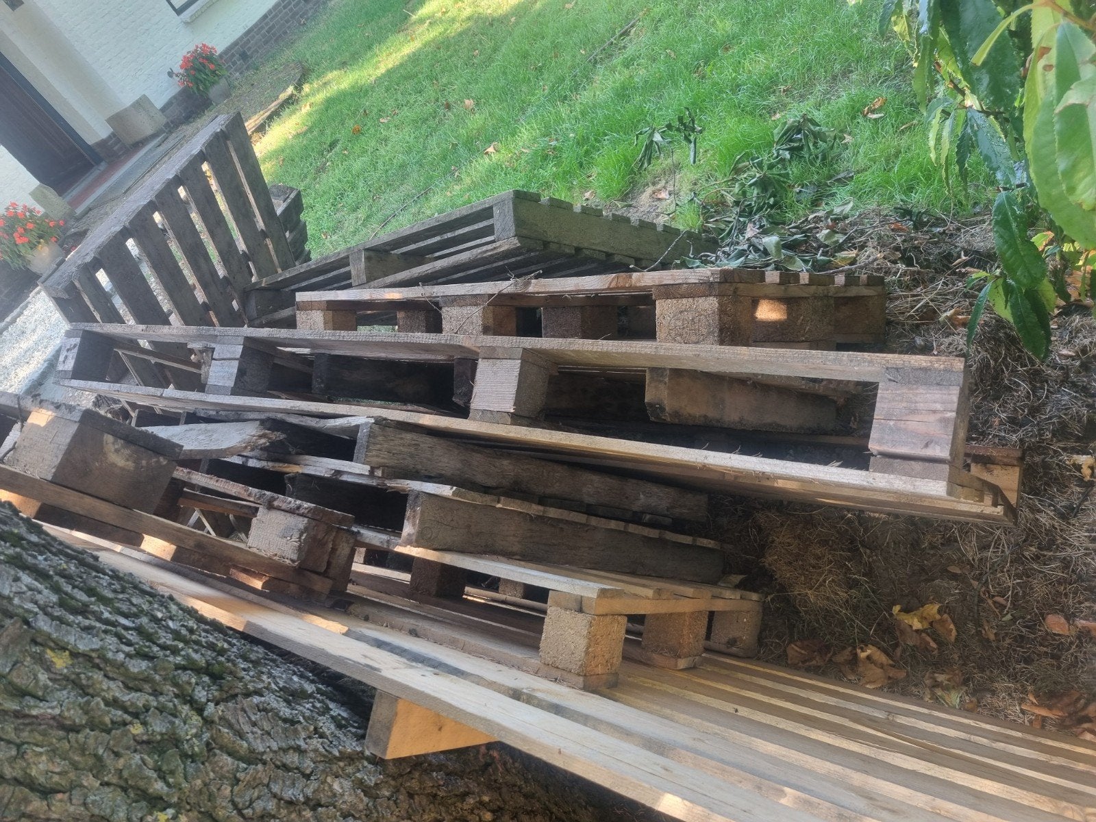 pallets, Doe-het-zelf en Verbouw, Hout en Planken, Ophalen, Minder dan 25 mm, Pallet, Minder dan 200 cm