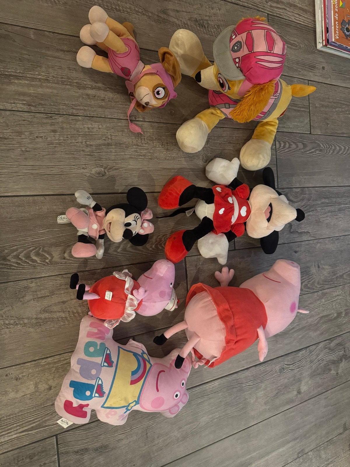 Leuke knuffels: Paw Patrol, Peppa Pig, Minnie Mouse, Ophalen, Hond, Middelgroot (20 tot 80 cm), Roze