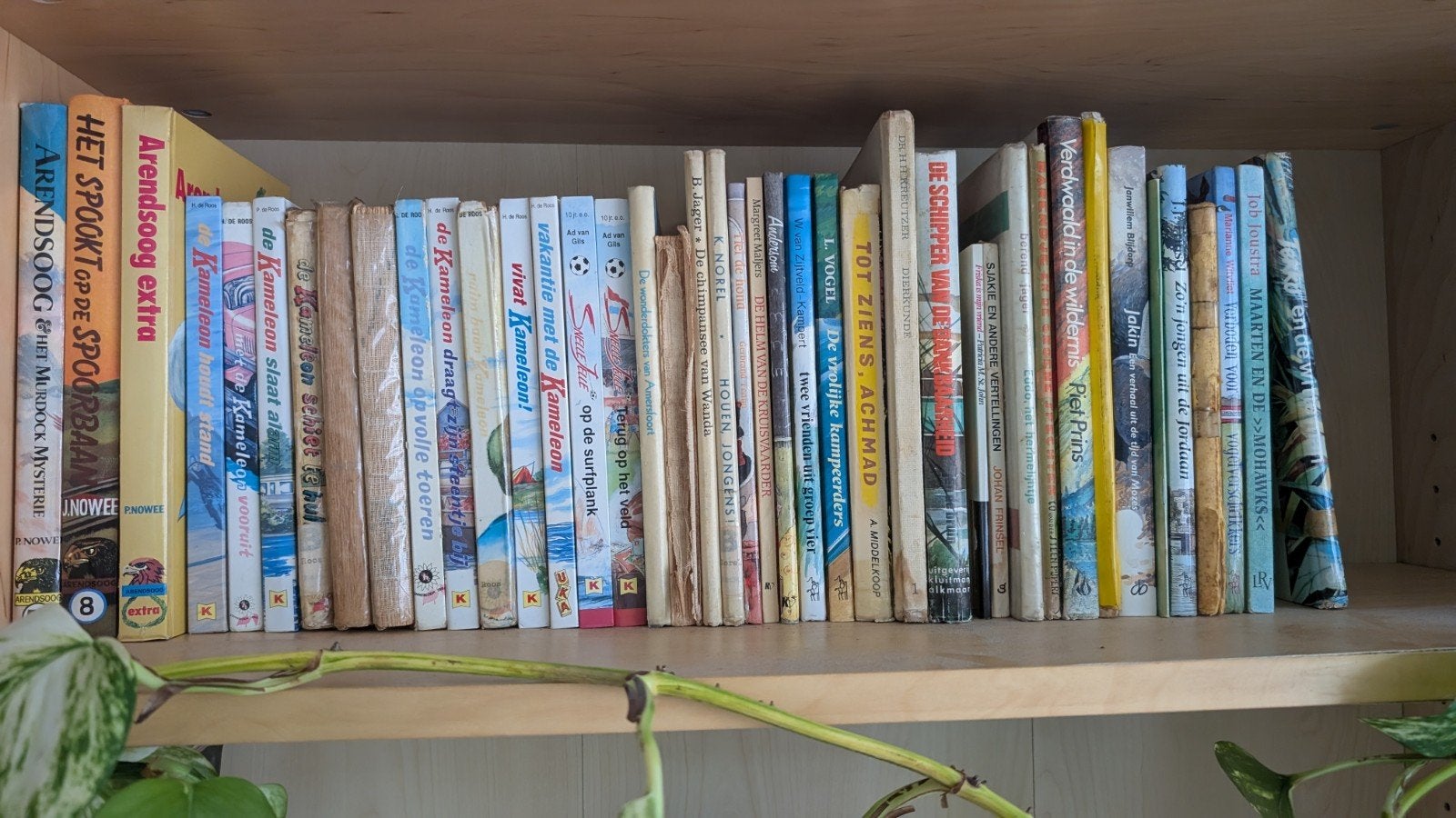 Diverse jeugdboeken: Kameleon, Arendsoog en meer, Boeken, Ophalen of Verzenden, Gelezen, Diverse auteurs (o.a. Hotze de Roos, J.H.P. Komrij)