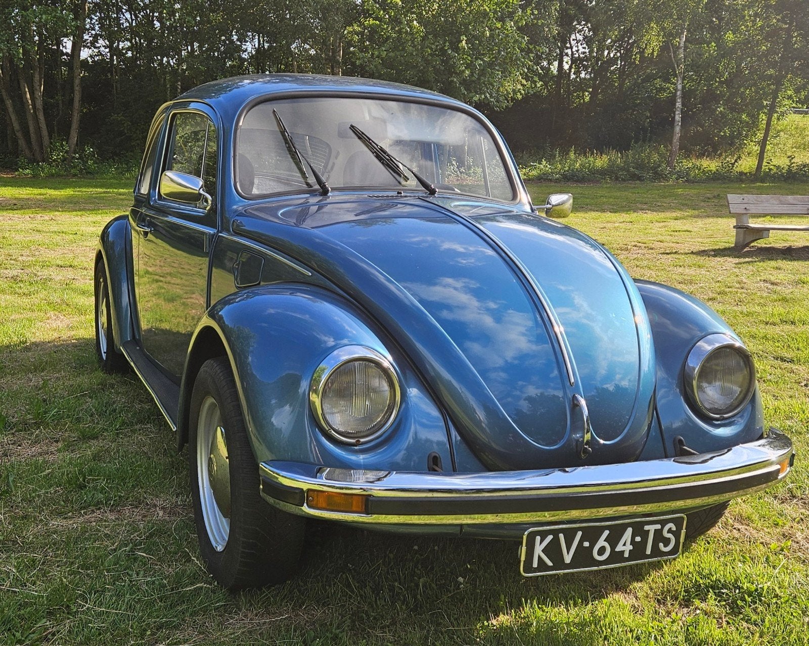 Volkswagen Beetle