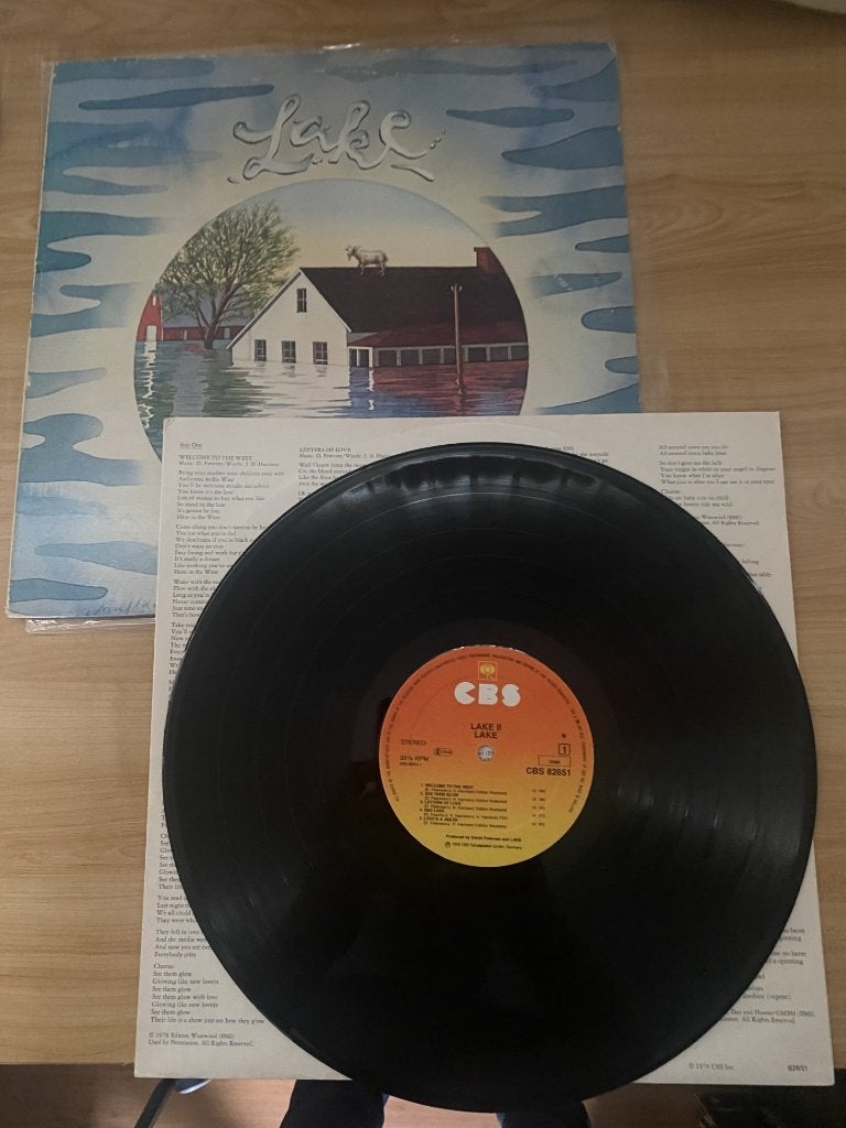 Lake – Lake II, LP, Ophalen of Verzenden, Zo goed als nieuw, 12 inch