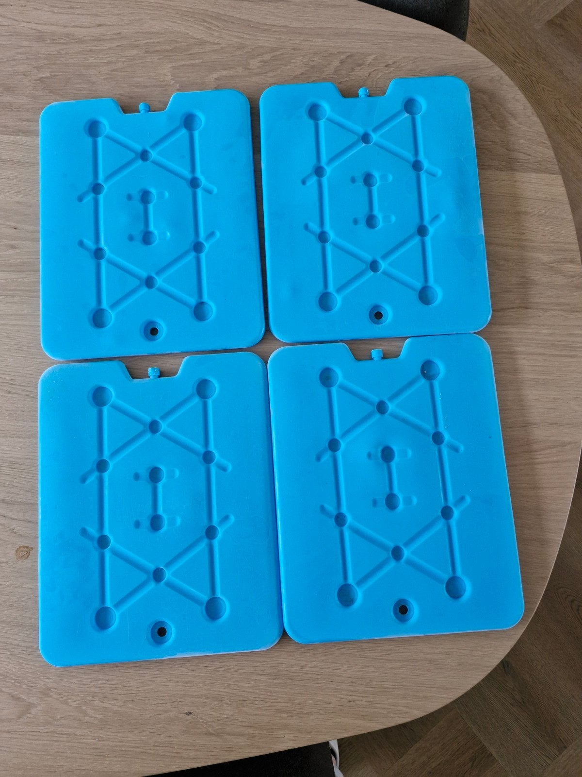 4 Koelelementen 25 x 32 cm, Ophalen of Verzenden, Gebruikt, Koel-accessoire, Koelelement