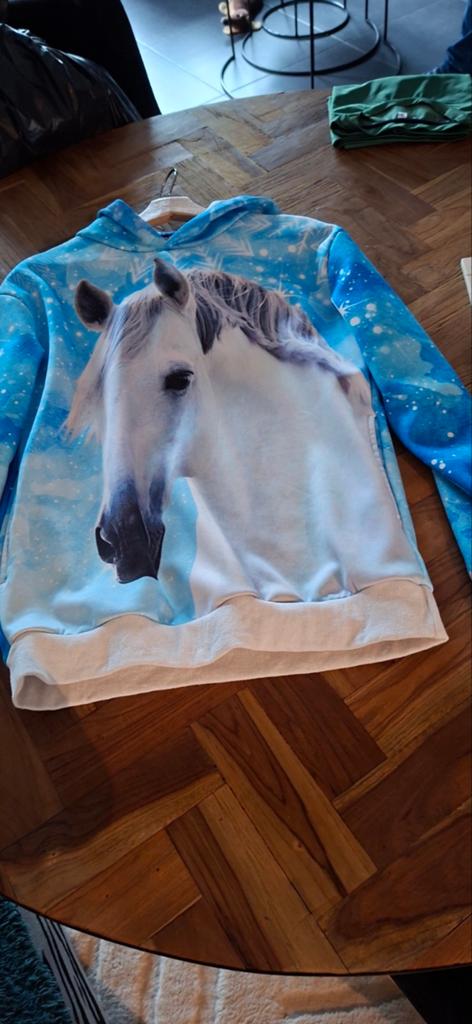 Paardenpraat hoodie s, Ophalen of Verzenden, Zo goed als nieuw