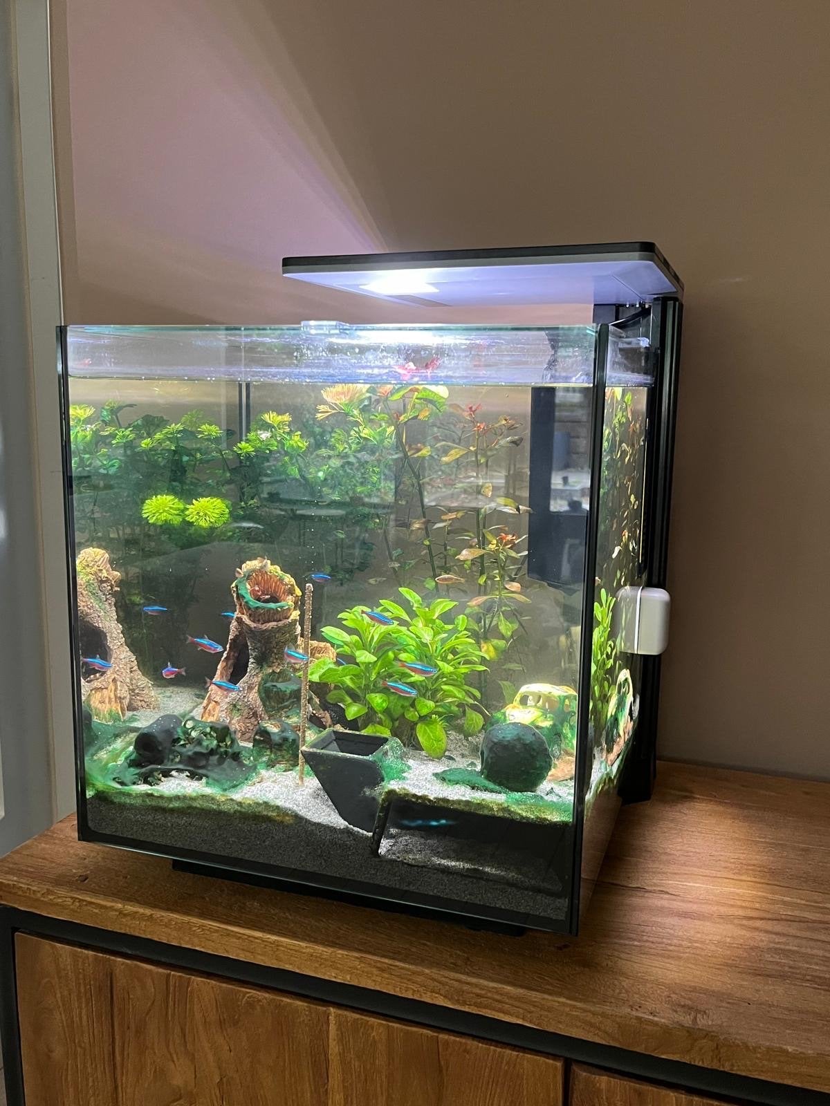 Aquarium Superfish Qubiq 60 Pro Zwart, Ophalen, Inclusief vissen, Superfish, Gevuld zoetwateraquarium