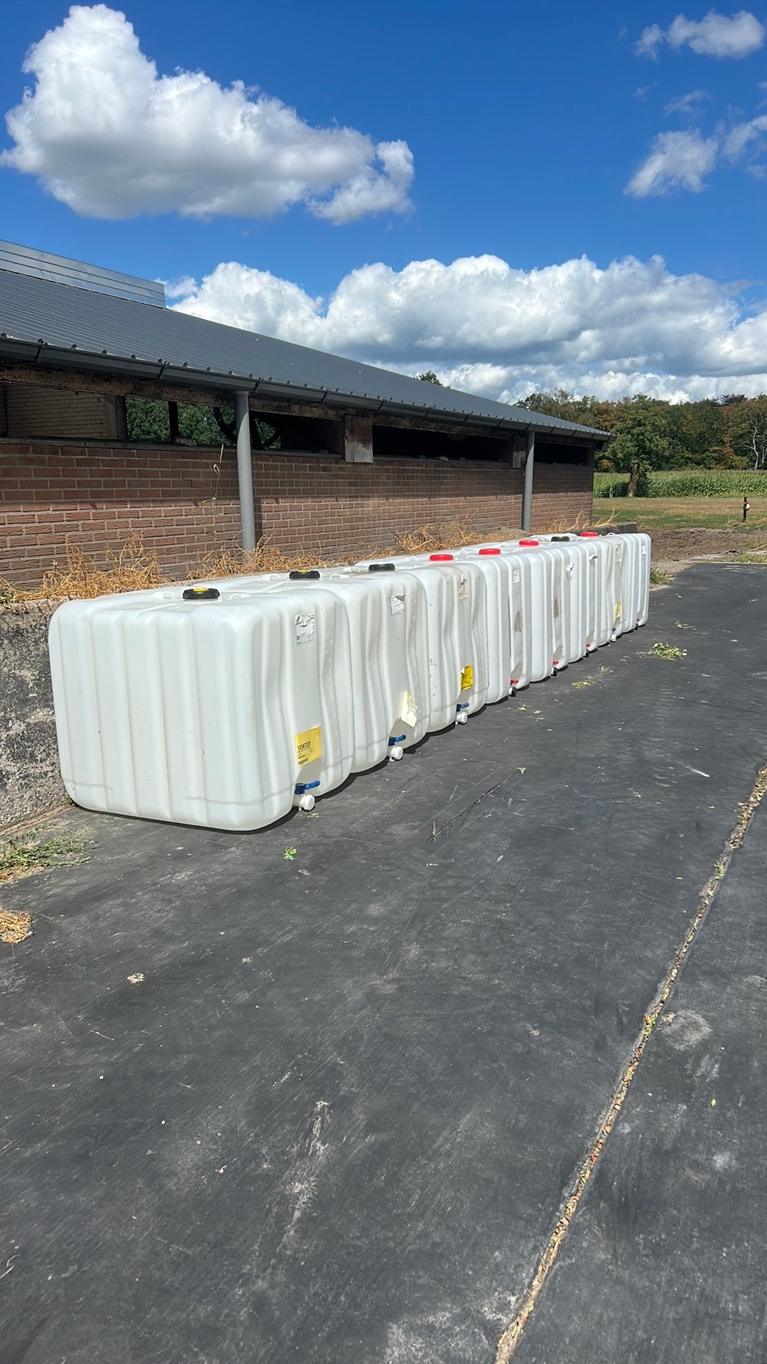 Ibc vaten, zonder krat, Ophalen, Gebruikt