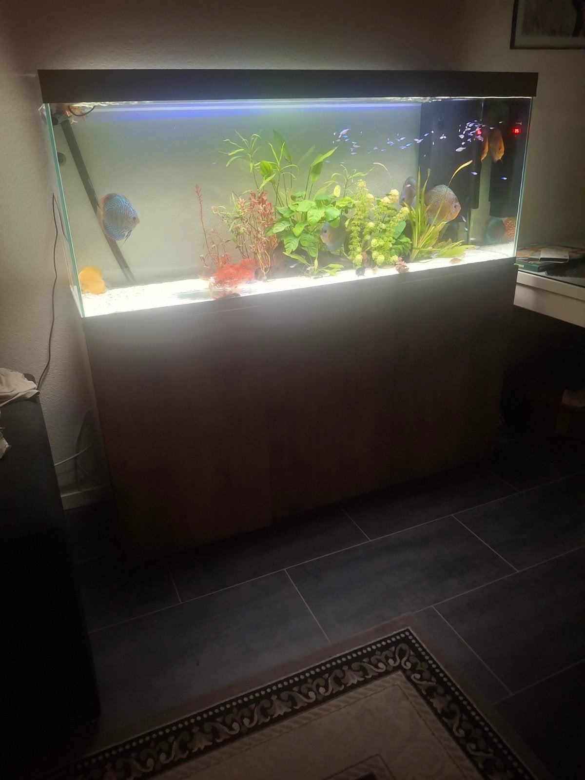 Aquarium groot netjes krasvrij 150 cm, Ophalen of Verzenden, Gevuld zoetwateraquarium